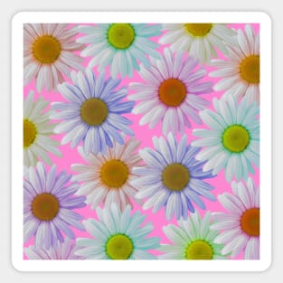 colorful daisy flowers, daisies, blossoms Magnet